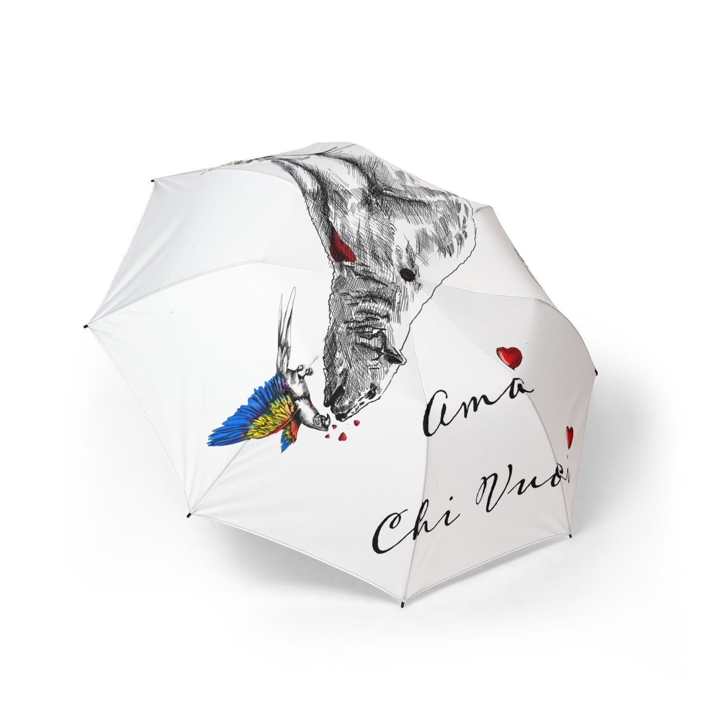 orso Romantic Alpaca Foldable Umbrella — "Ama Chi Vuoi" Heart Design
