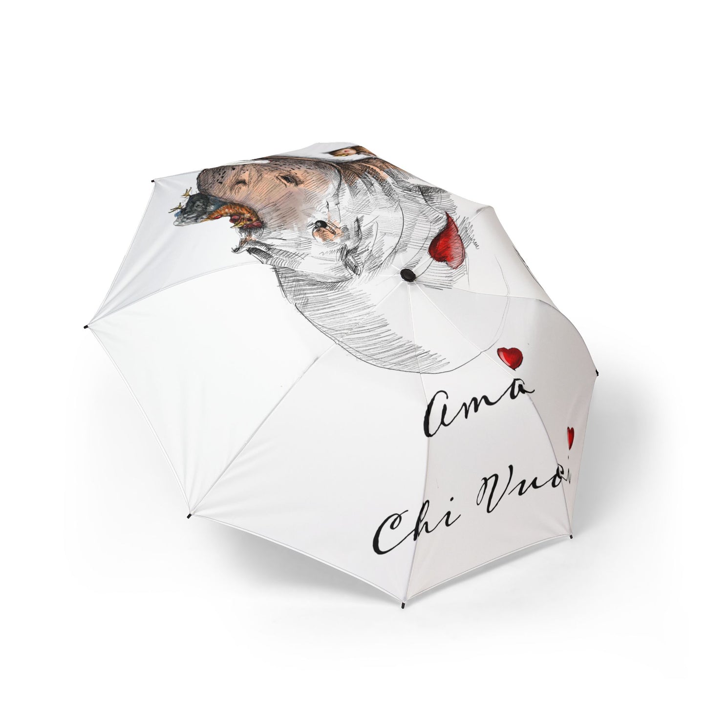Rino Alpaca Foldable Umbrella — "Ama Chi Vuoi" Heart Design